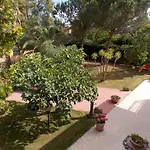 Aurora 3*
