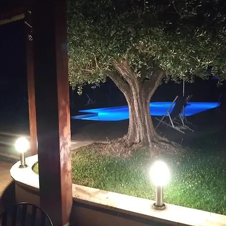 Aurora לטינה